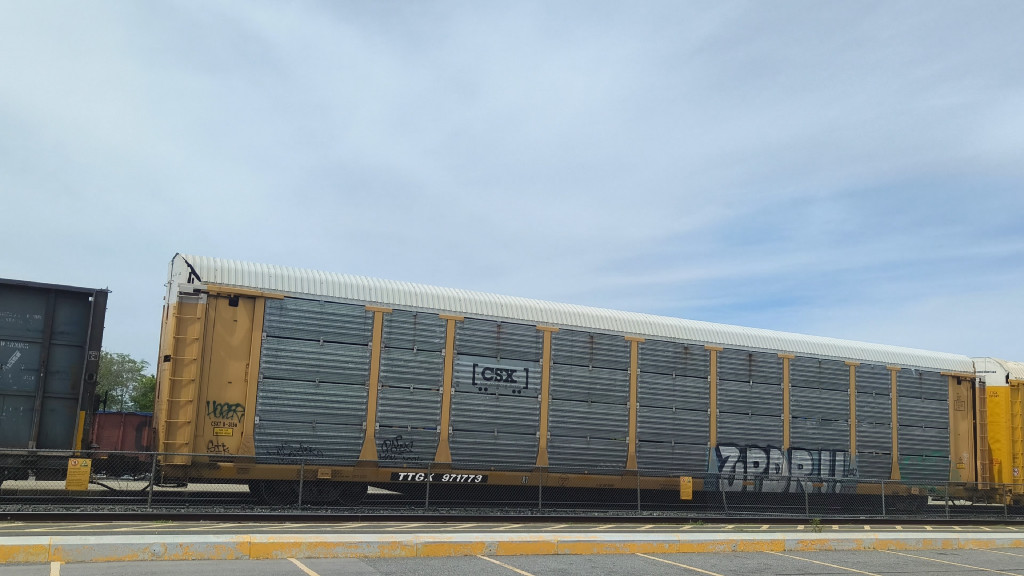 CSXT B3156 (Body) TTGX 971773 (Flat)